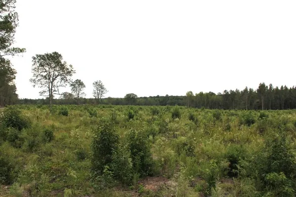 $748,320 | 0 Fellowship Road, Williston, SC 29853