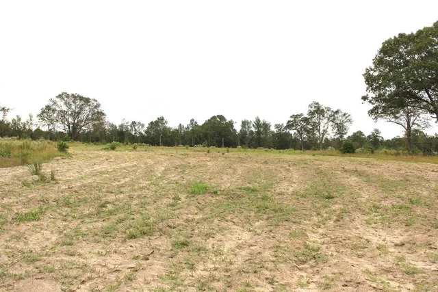 $748,320 | 0 Fellowship Road, Williston, SC 29853