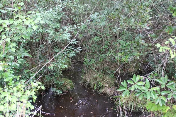 $748,320 | 0 Fellowship Road, Williston, SC 29853