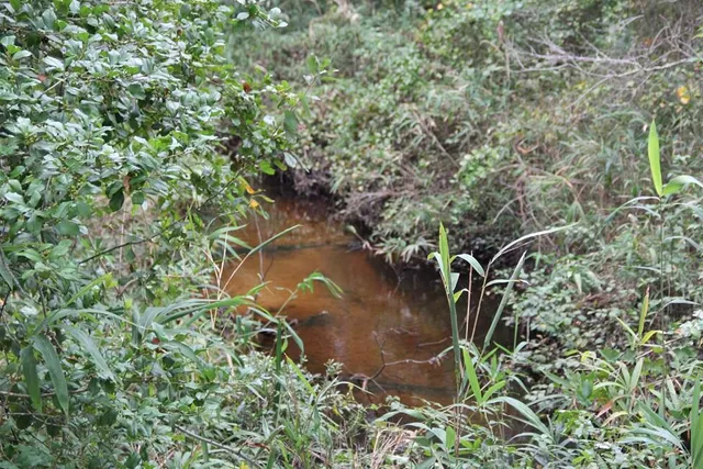 $748,320 | 0 Fellowship Road, Williston, SC 29853