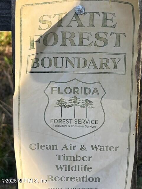 34 Zibra Street Middleburg, FL 32068 - Photo 9 of 54 Forest 1