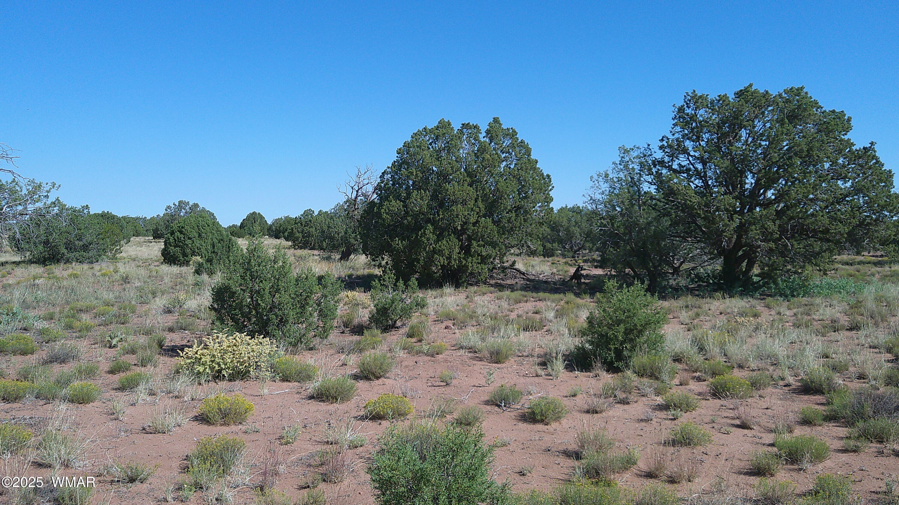 4434 Indian Bend Road Snowflake, AZ 85937 - Photo 3 of 12 DSCF0002