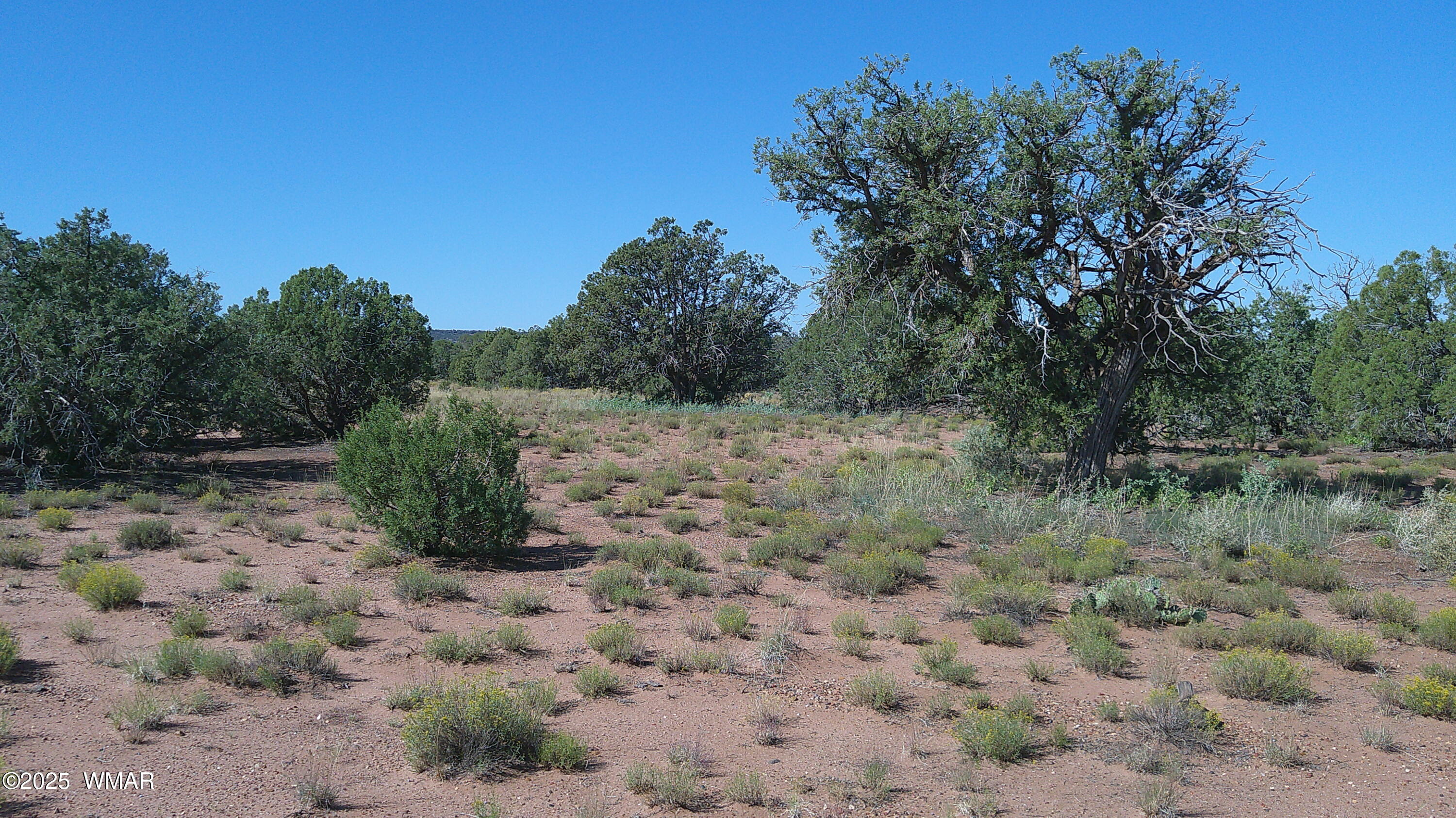 4434 Indian Bend Road Snowflake, AZ 85937 - Photo 5 of 12 DSCF0005