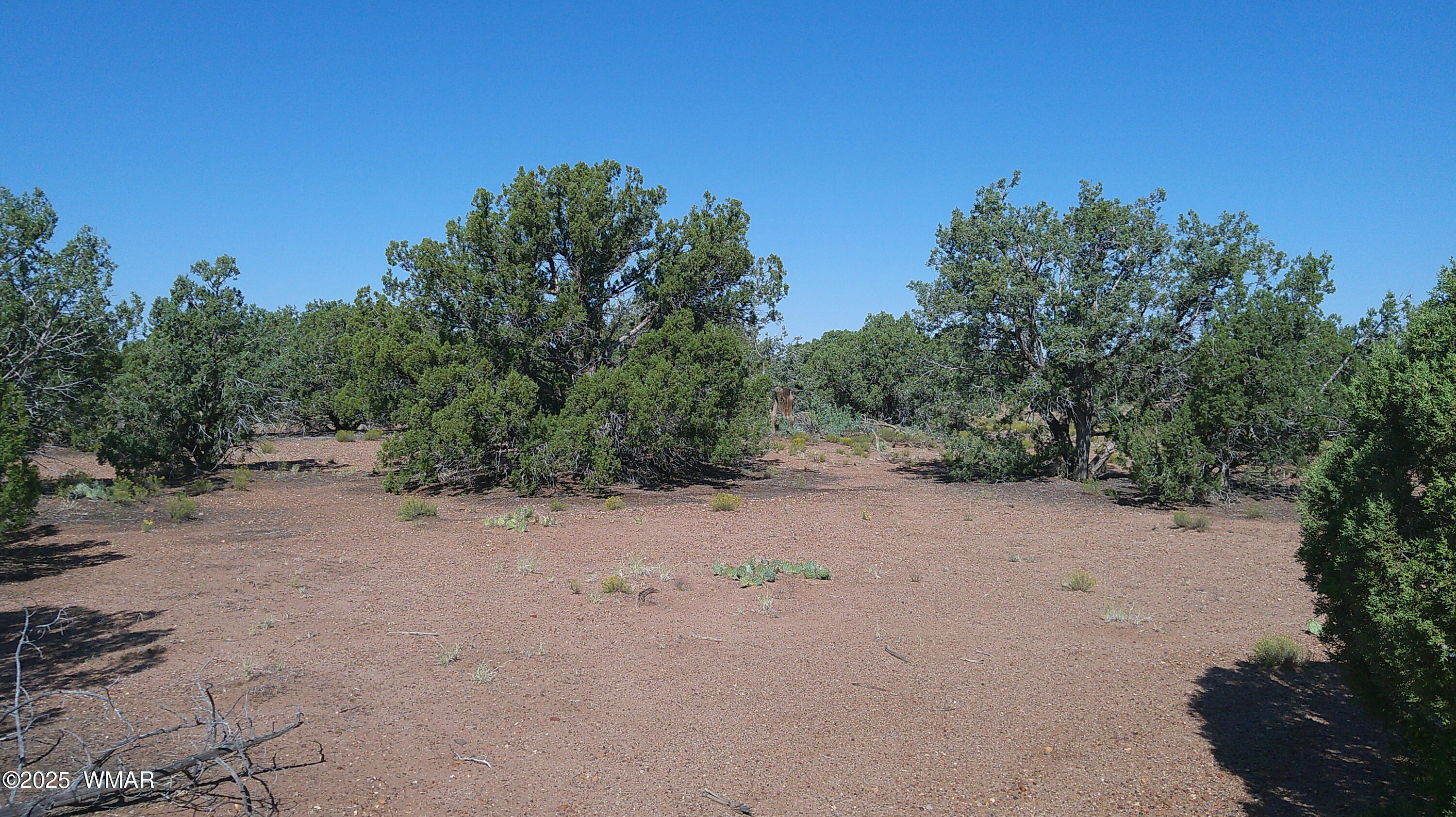 4434 Indian Bend Road Snowflake, AZ 85937 - Photo 7 of 12 DSCF0007