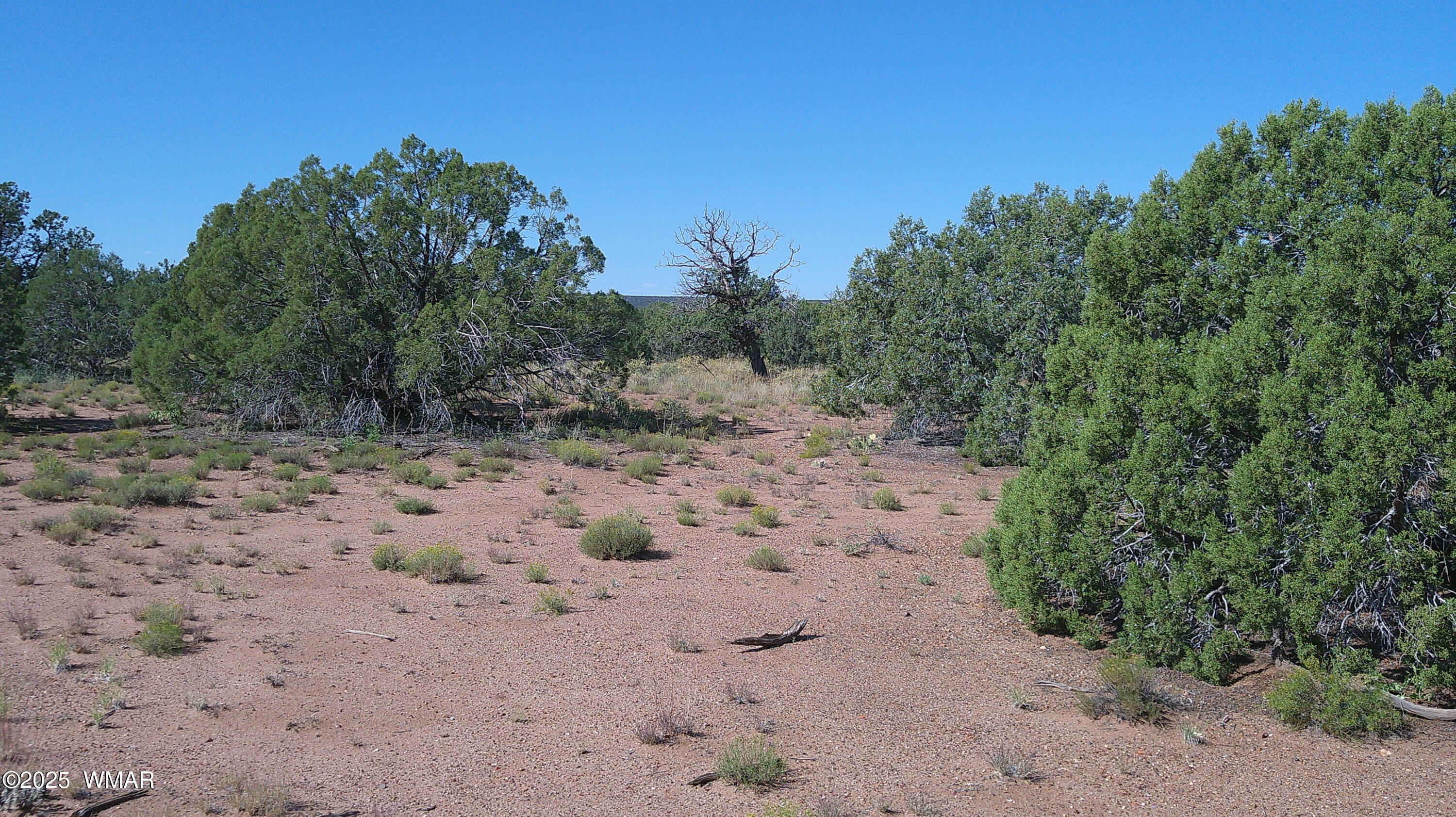 4434 Indian Bend Road Snowflake, AZ 85937 - Photo 8 of 12 DSCF0008