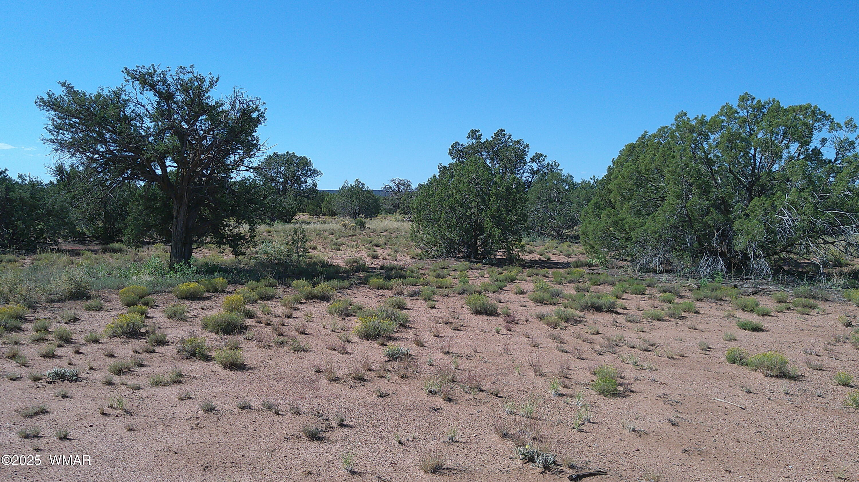4434 Indian Bend Road Snowflake, AZ 85937 - Photo 9 of 12 DSCF0009