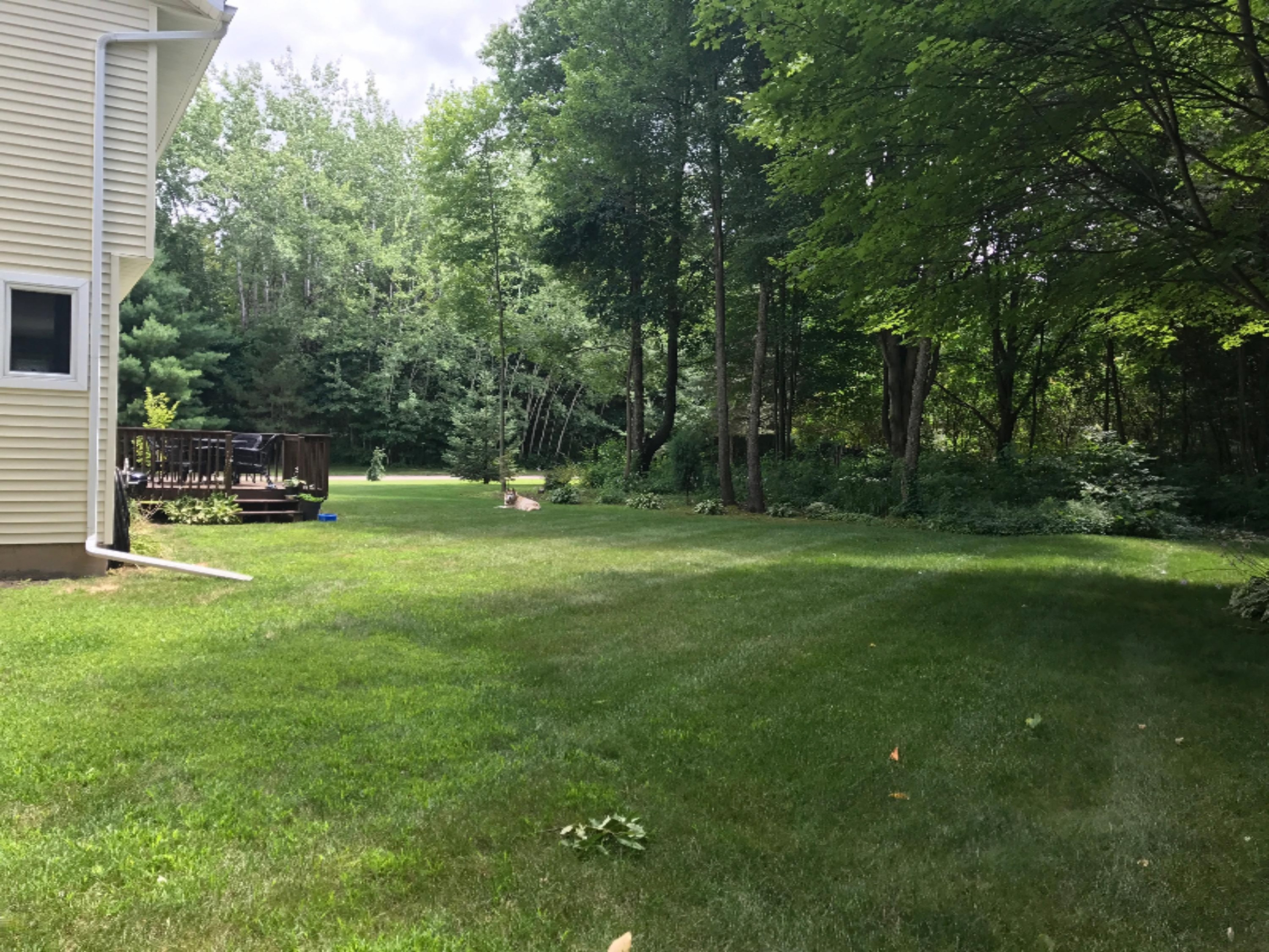 4467 Walkers Ridge Road Kalamazoo, MI 49009 - Photo 15 of 18 0B9B3837-9386-4EE8-9B33-0B23CE379C91