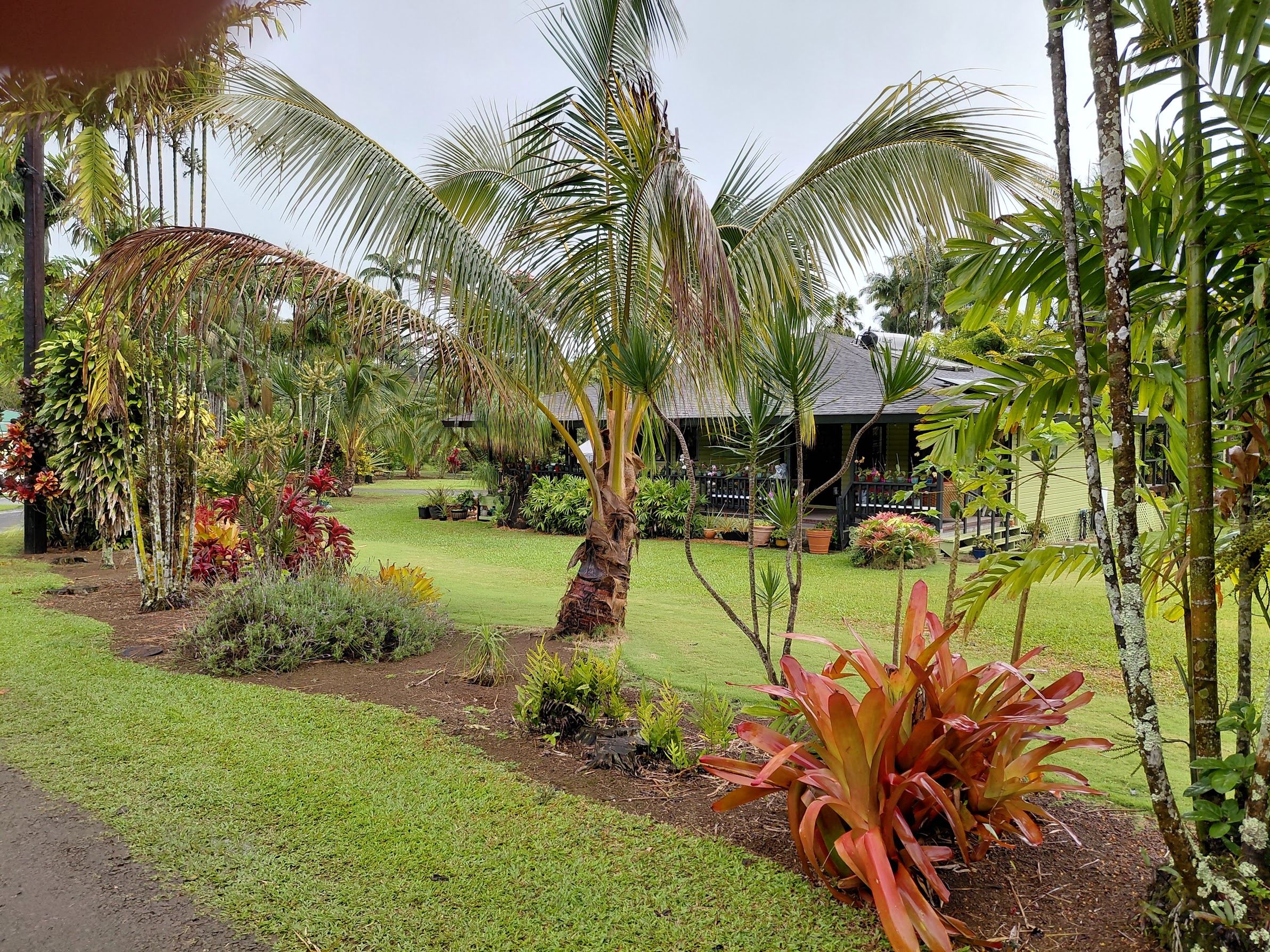 6581 Puupilo Road Kapaa, HI 96746 - Photo 2 of 24 a view of outdoor space with garden