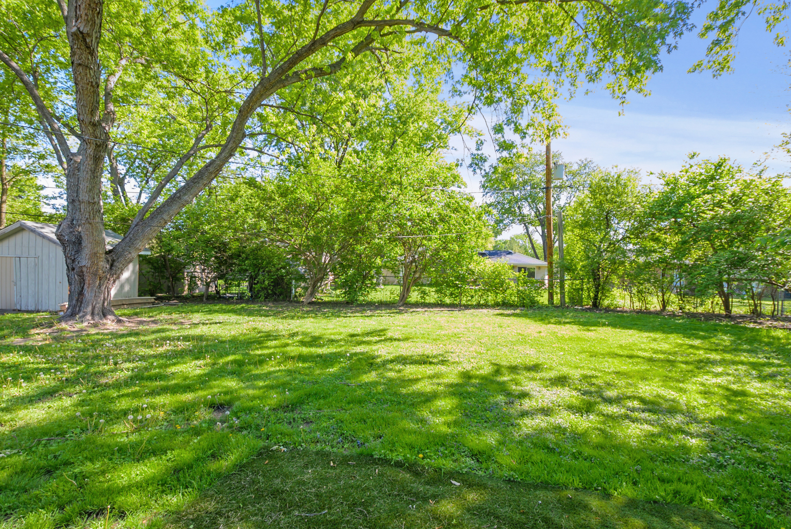 433 Hackberry Road Frankfort, IL 60423 - Photo 23 of 27 a view of a field with a tree