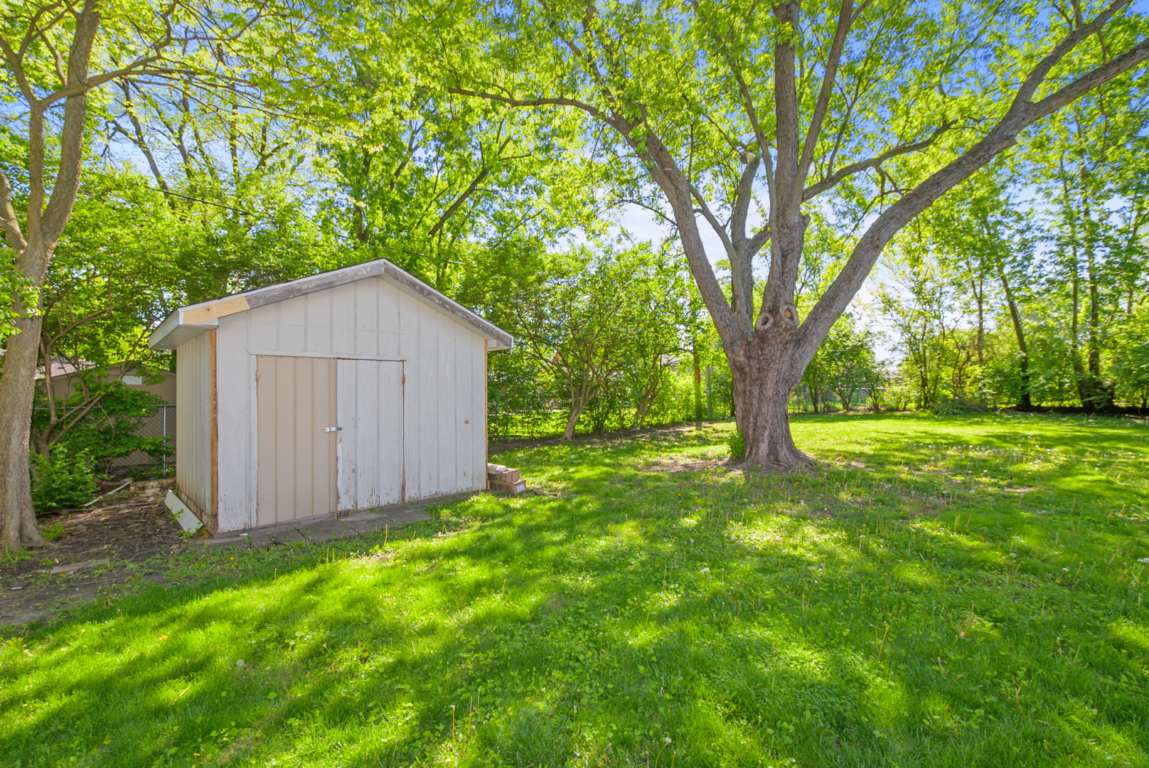 433 Hackberry Road Frankfort, IL 60423 - Photo 27 of 27 a view of backyard with large trees and potted plants
