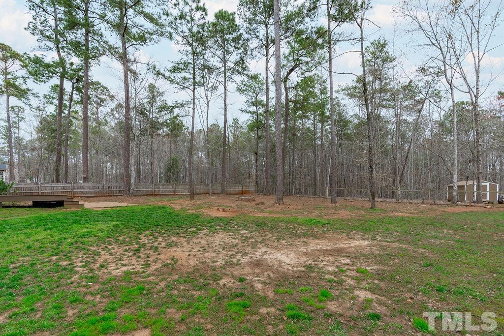 1141 Farmers Branch Road Willow Spring, NC 27592 - Photo 28 of 29