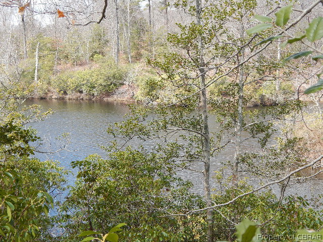 0 Waterfence Road Shacklefords, VA 23156 - Photo 1 of 10 Gallery Image 1