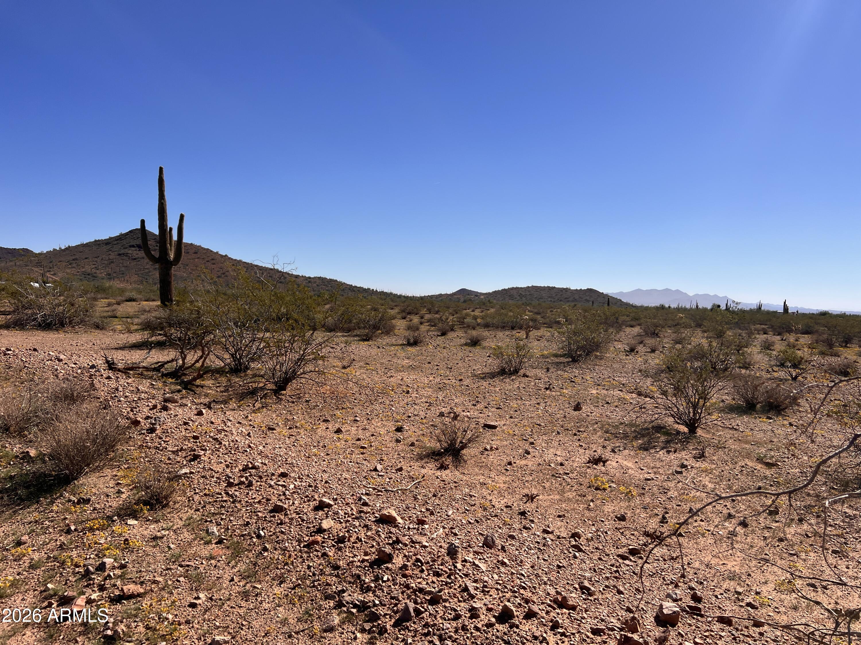 31-xxx West Carlise Road, Unit 105 Wittmann, AZ 85361 - Photo 2 of 9 a view of a dry yard with a tree