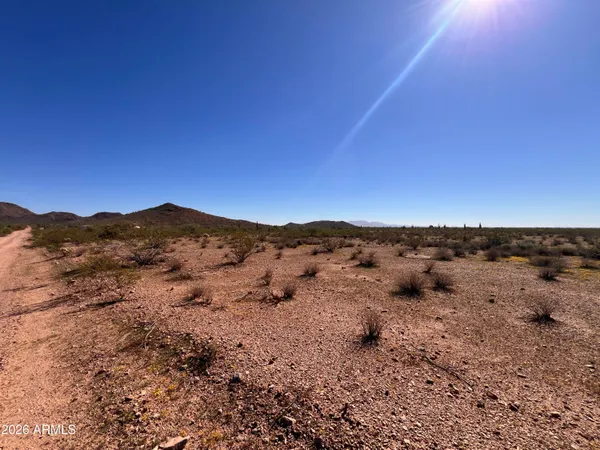 a view of a dry yard with mountains in the background
