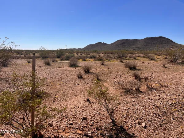 a view of a dry field with mountains in the background