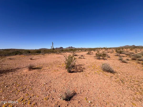 a view of beach and ocean