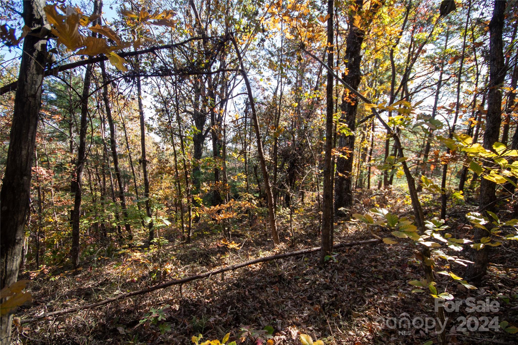 22 Hackberry Road, Unit 22 Connelly Springs, NC 28612 - Photo 11 of 38
