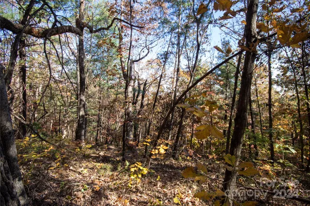 $16,000 | 22 Hackberry Road, Unit 22, Connelly Springs, NC 28612