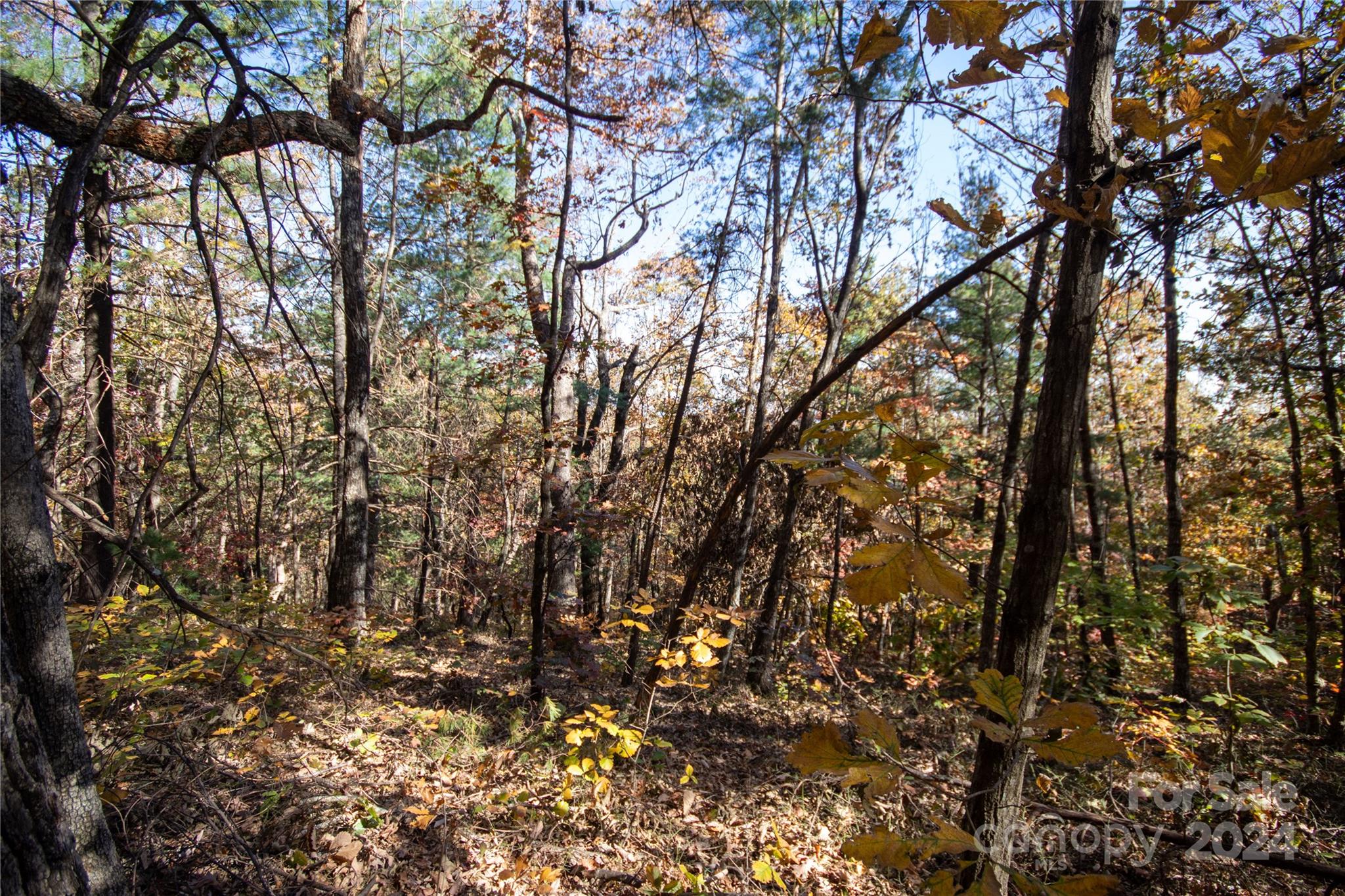 22 Hackberry Road, Unit 22 Connelly Springs, NC 28612 - Photo 12 of 38