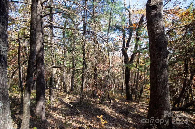 $16,000 | 22 Hackberry Road, Unit 22, Connelly Springs, NC 28612