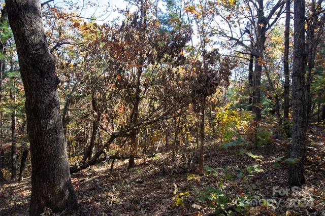 $16,000 | 22 Hackberry Road, Unit 22, Connelly Springs, NC 28612