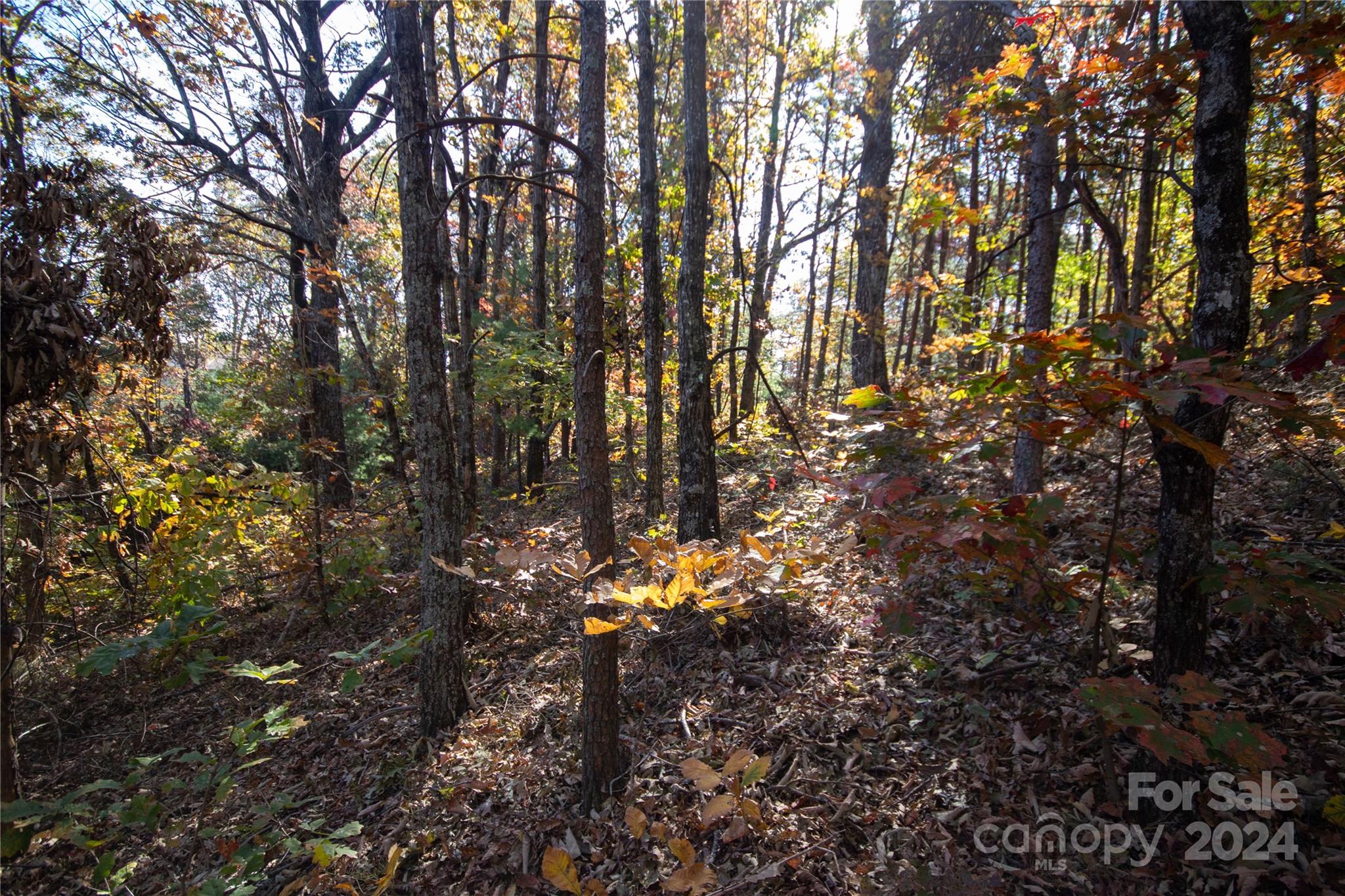 22 Hackberry Road, Unit 22 Connelly Springs, NC 28612 - Photo 15 of 38