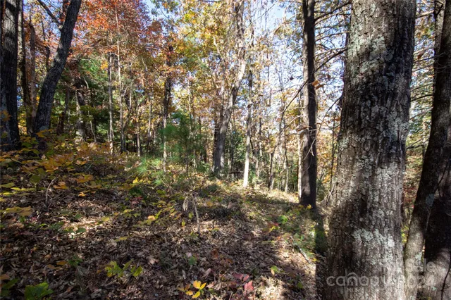 $16,000 | 22 Hackberry Road, Unit 22, Connelly Springs, NC 28612