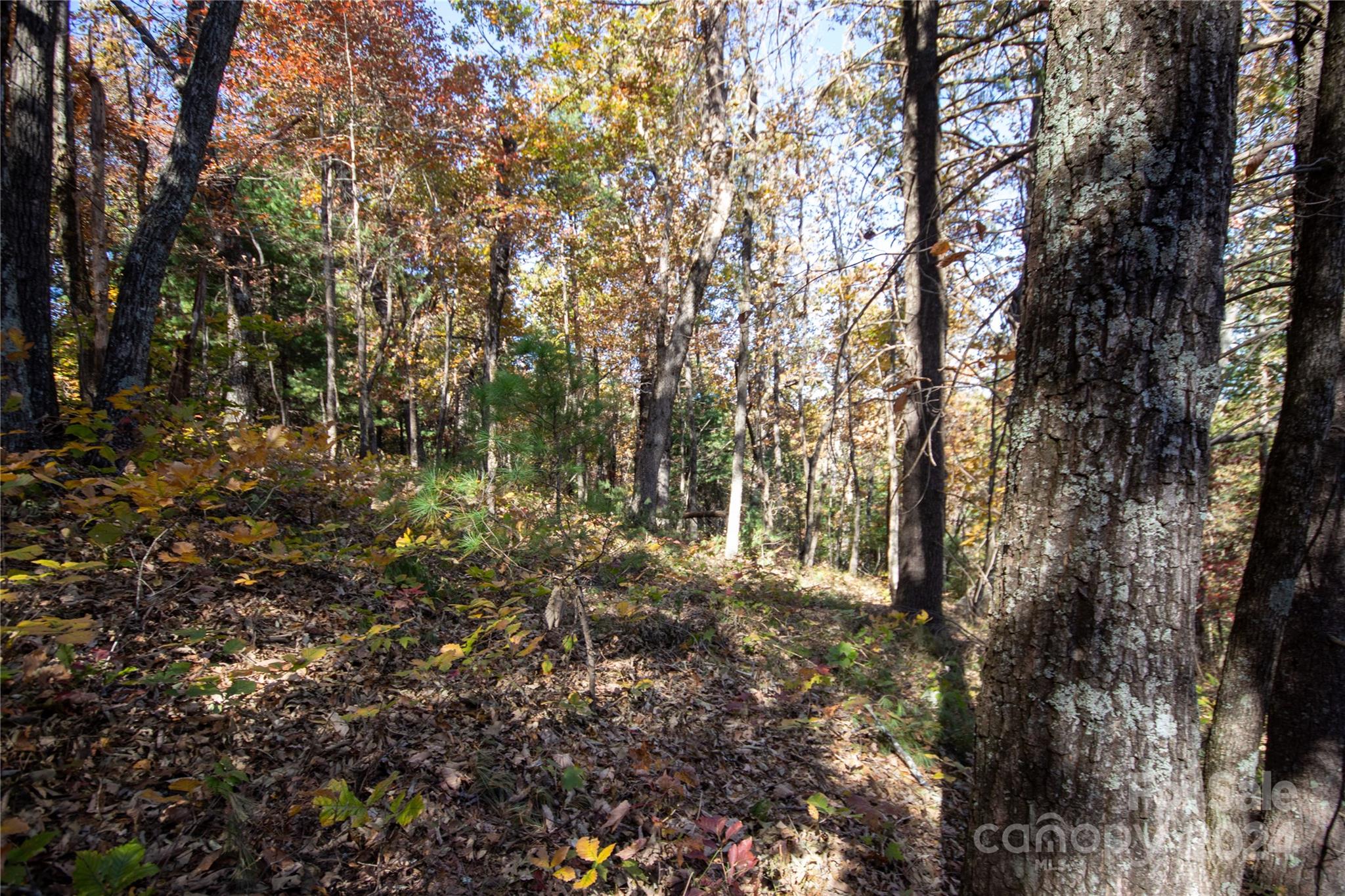 22 Hackberry Road, Unit 22 Connelly Springs, NC 28612 - Photo 16 of 38