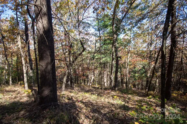 $16,000 | 22 Hackberry Road, Unit 22, Connelly Springs, NC 28612