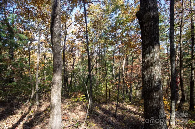 $16,000 | 22 Hackberry Road, Unit 22, Connelly Springs, NC 28612