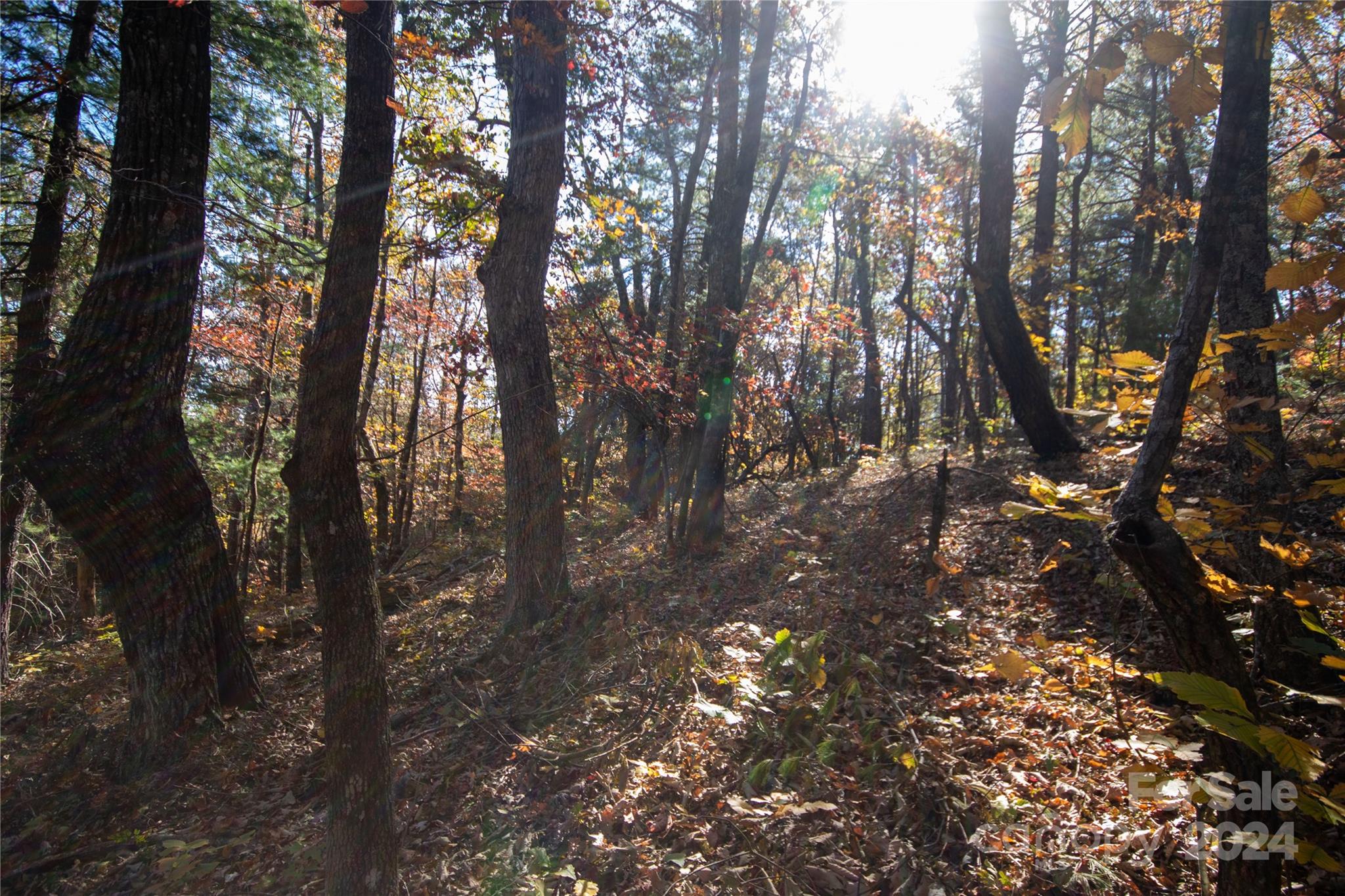 22 Hackberry Road, Unit 22 Connelly Springs, NC 28612 - Photo 19 of 38