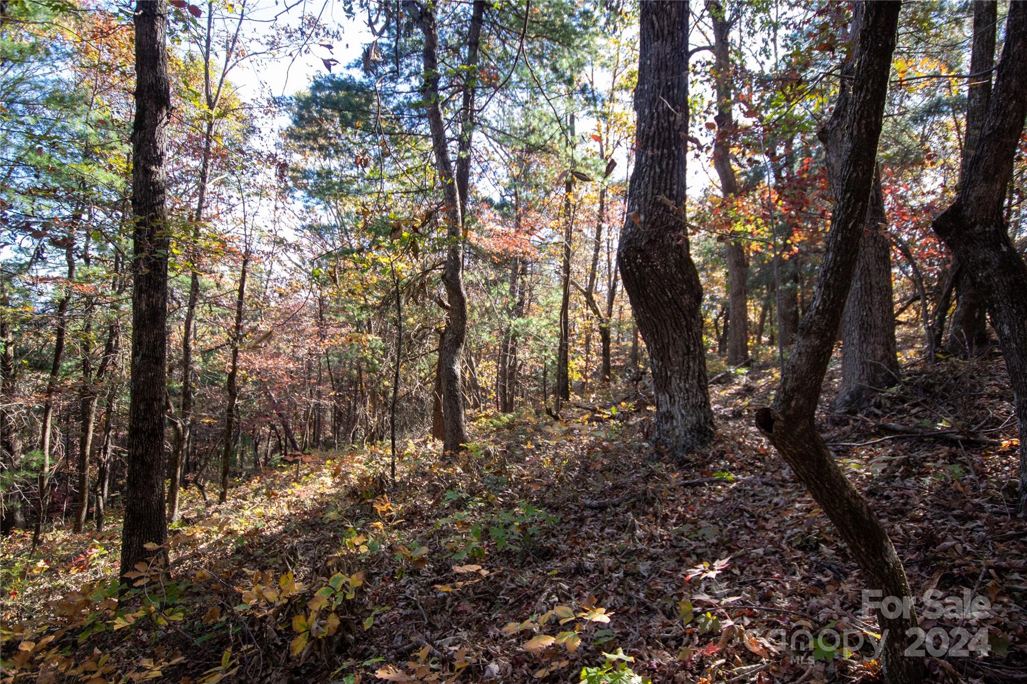 22 Hackberry Road, Unit 22 Connelly Springs, NC 28612 - Photo 20 of 38