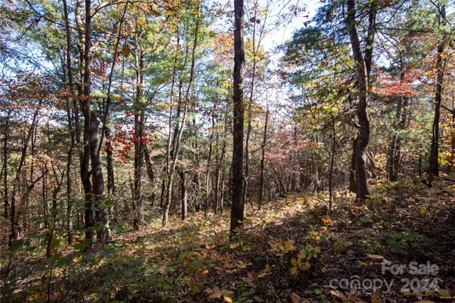 $16,000 | 22 Hackberry Road, Unit 22, Connelly Springs, NC 28612