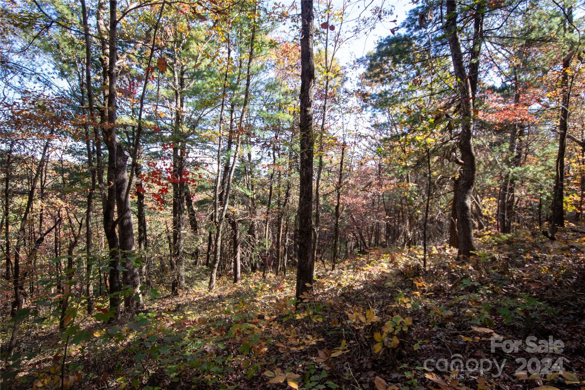 22 Hackberry Road, Unit 22 Connelly Springs, NC 28612 - Photo 21 of 38