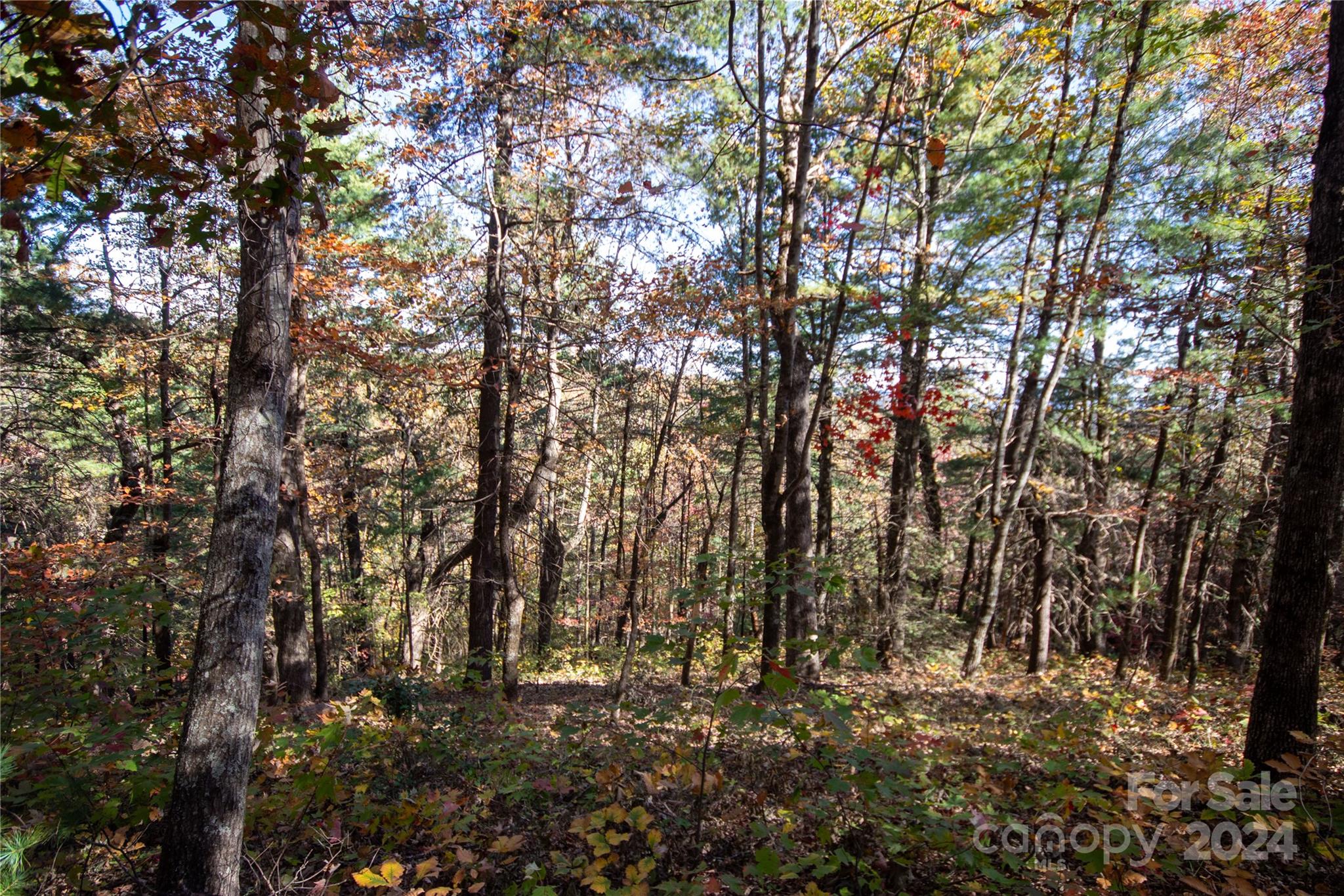 22 Hackberry Road, Unit 22 Connelly Springs, NC 28612 - Photo 22 of 38