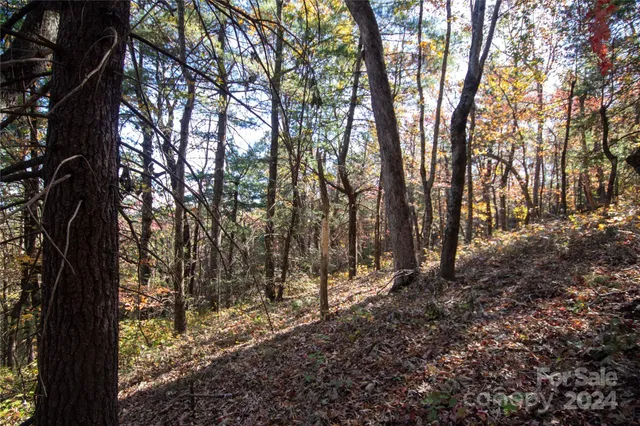 $16,000 | 22 Hackberry Road, Unit 22, Connelly Springs, NC 28612