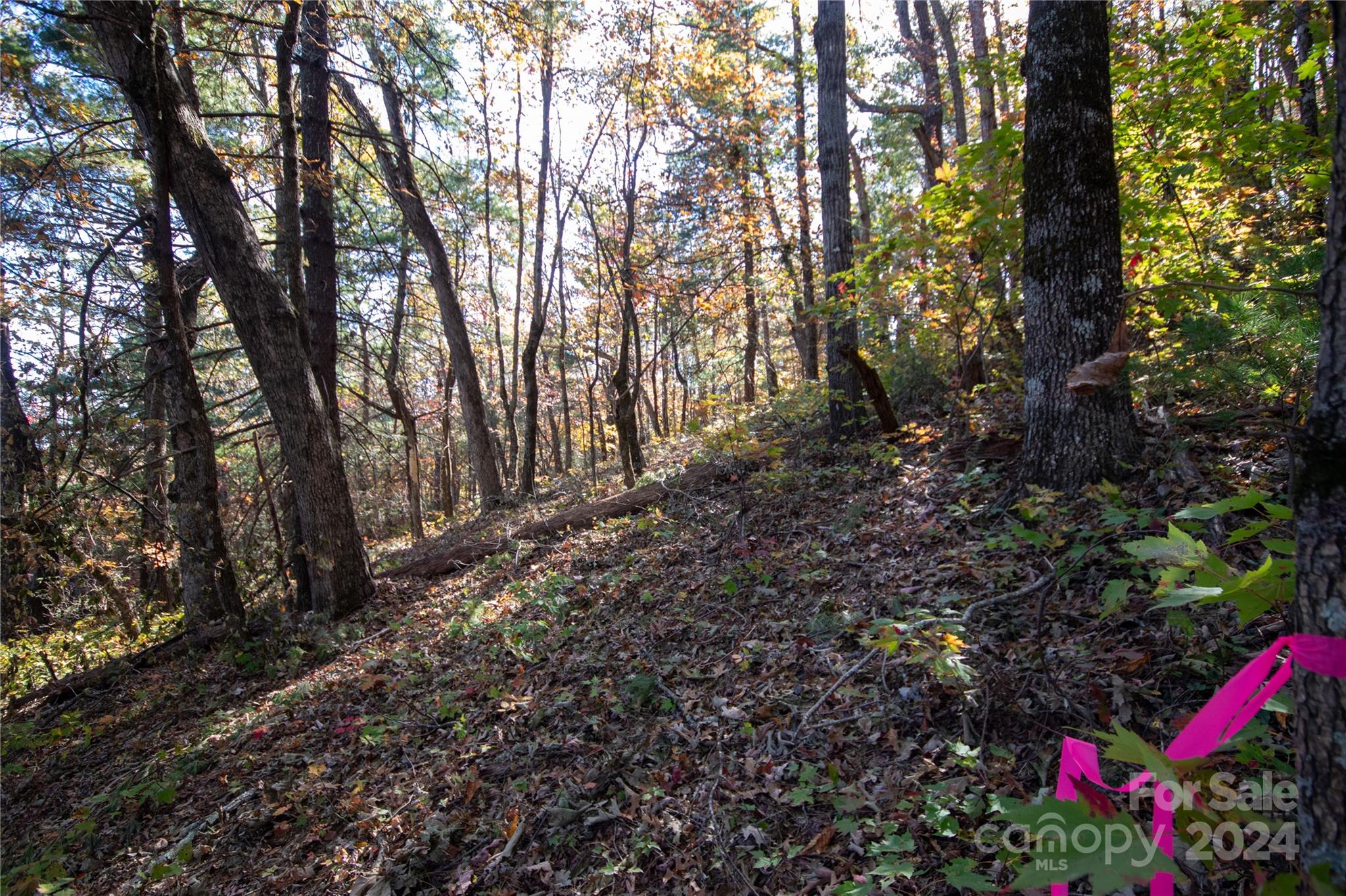 22 Hackberry Road, Unit 22 Connelly Springs, NC 28612 - Photo 24 of 38