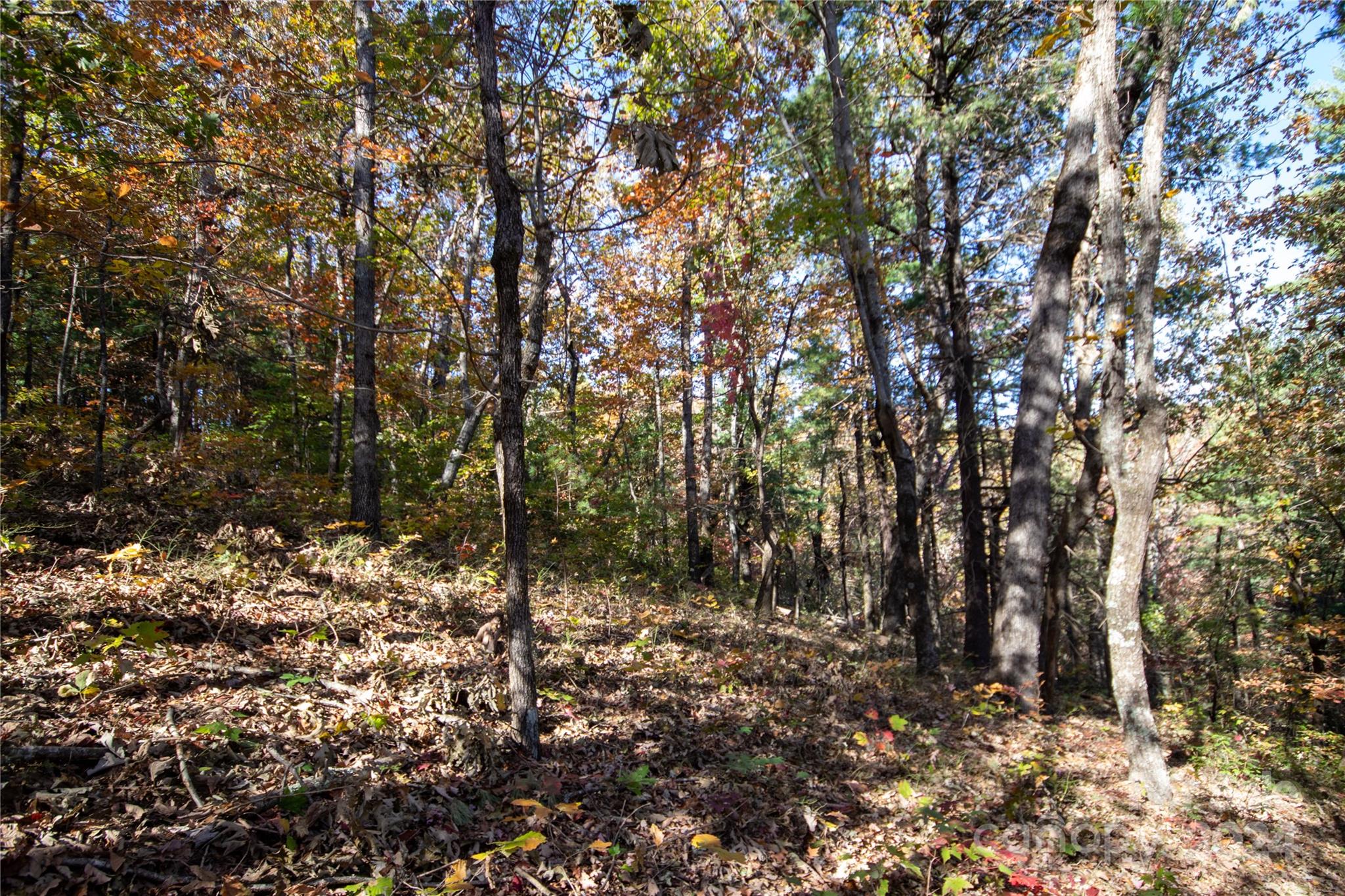 22 Hackberry Road, Unit 22 Connelly Springs, NC 28612 - Photo 25 of 38