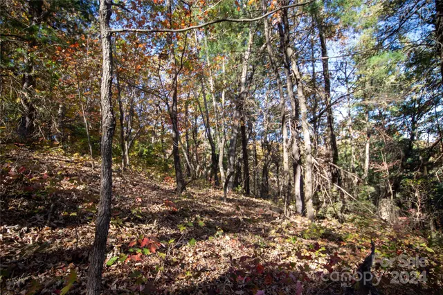 $16,000 | 22 Hackberry Road, Unit 22, Connelly Springs, NC 28612