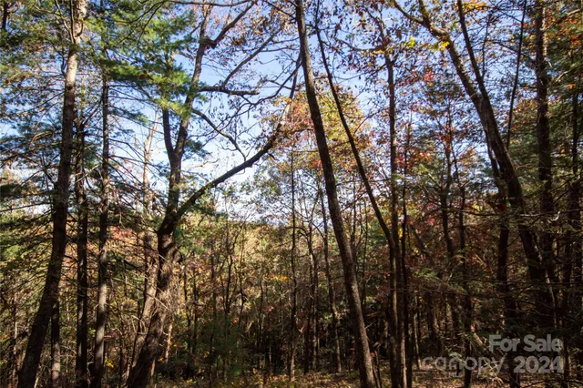 $16,000 | 22 Hackberry Road, Unit 22, Connelly Springs, NC 28612