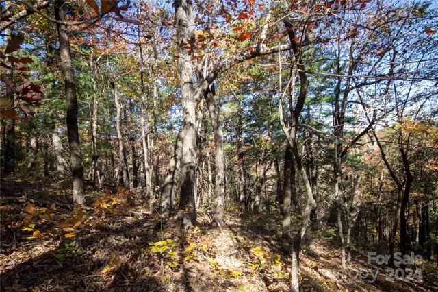 $16,000 | 22 Hackberry Road, Unit 22, Connelly Springs, NC 28612