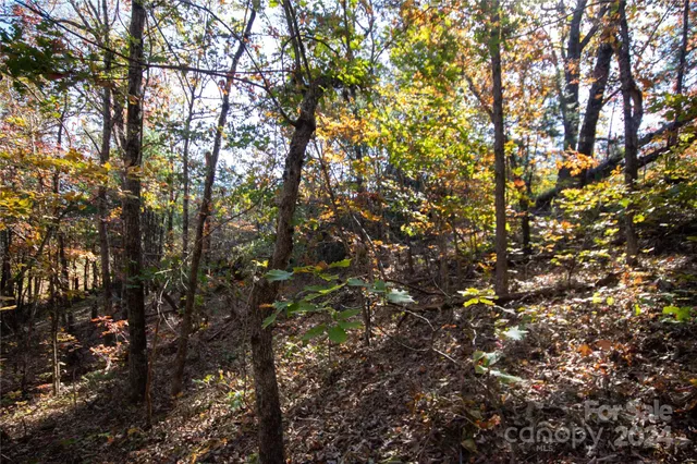 $16,000 | 22 Hackberry Road, Unit 22, Connelly Springs, NC 28612