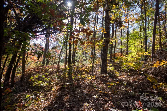 $16,000 | 22 Hackberry Road, Unit 22, Connelly Springs, NC 28612