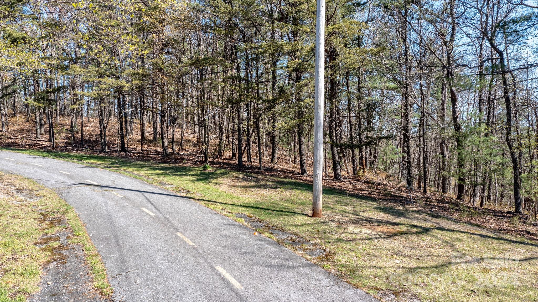 22 Hackberry Road, Unit 22 Connelly Springs, NC 28612 - Photo 3 of 38