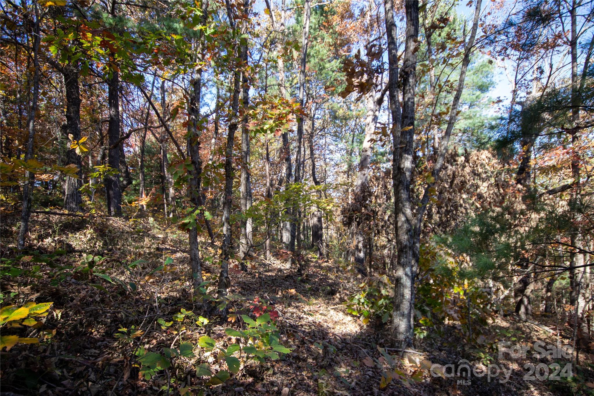 22 Hackberry Road, Unit 22 Connelly Springs, NC 28612 - Photo 31 of 38