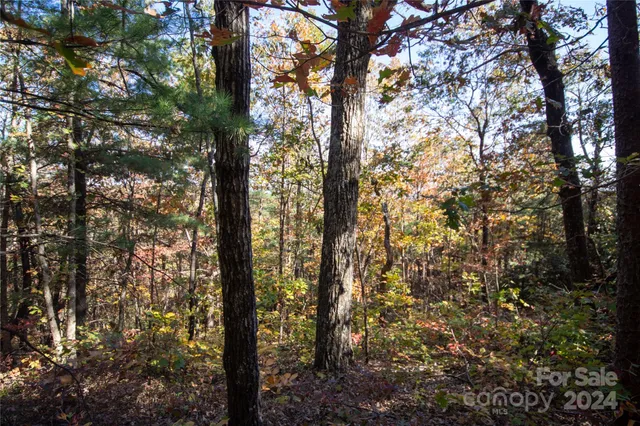 $16,000 | 22 Hackberry Road, Unit 22, Connelly Springs, NC 28612