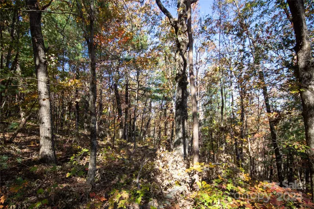 $16,000 | 22 Hackberry Road, Unit 22, Connelly Springs, NC 28612