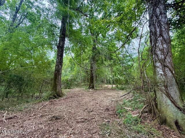 Mt Herman Road Osyka, MS 39657 - Photo 10 of 53 IMG_5427
