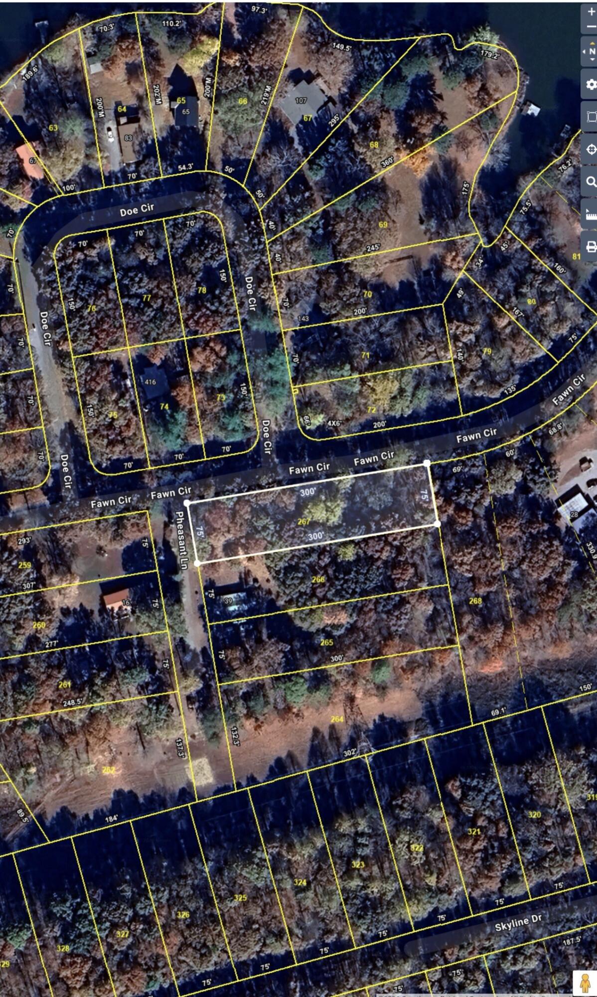 0 Fawn Circle, Unit 267 Dunlap, TN 37327 - Photo 9 of 10 IMG_7393