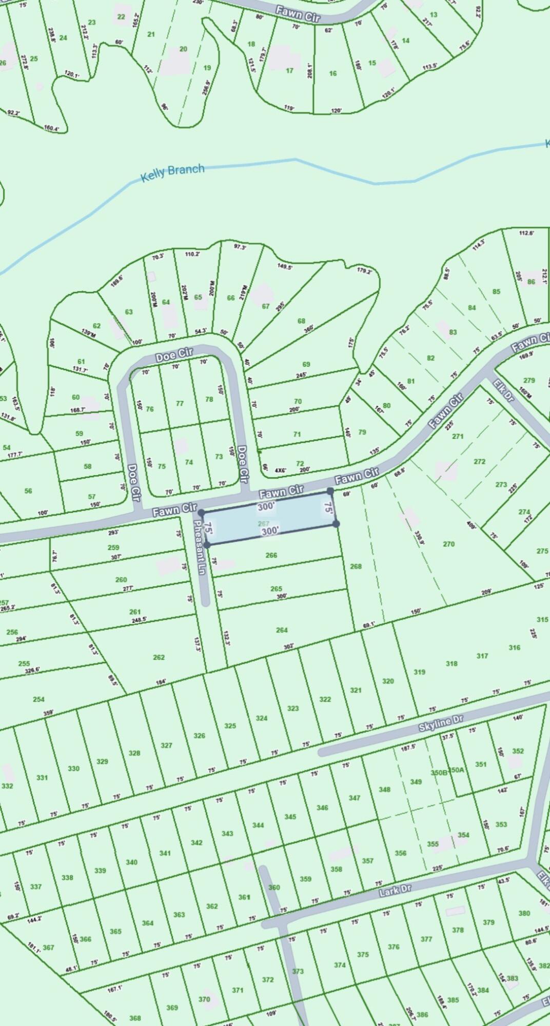 0 Fawn Circle, Unit 267 Dunlap, TN 37327 - Photo 10 of 10 IMG_7392 (1)